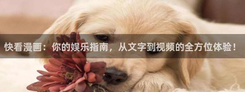 香蕉漫画小说下拉式