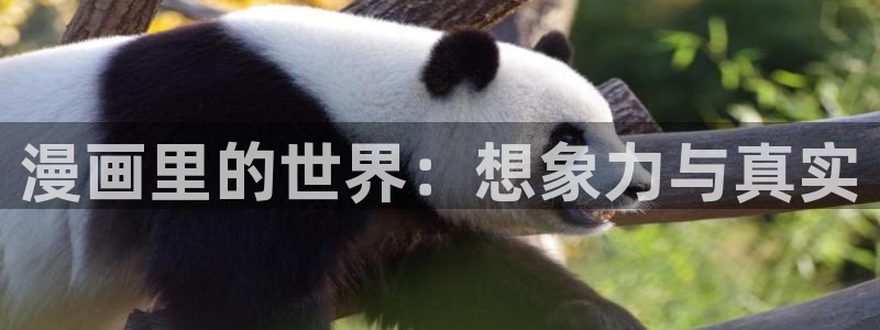 香蕉漫画书阅读下拉式